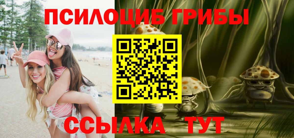 Сосновоборск  Галлюциногенные грибы прущие грибы  Вход с VPN  Псилоцибиновые грибы Psilocybe 